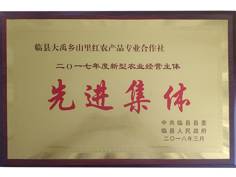 先進集體